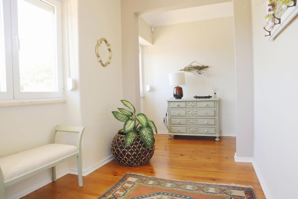 Casal De Sao Jose - Modern Country House 马夫拉 外观 照片